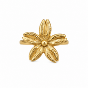 Anillo Flory