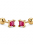 Broquel Pinki