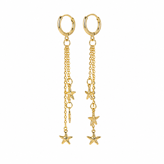 Aretes Stars